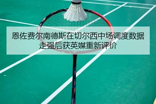 恩佐费尔南德斯在切尔西中场调度数据走强后获英媒重新评价